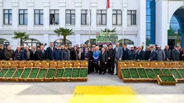 Yalova'da 375 Bin Sebze Fidesi Dağıtıldı
