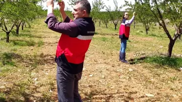 Kütahya'da Zirai Don Kontrolleri