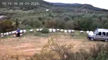 Arı Kovanları Hırsızı Yakalandı