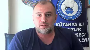 Kütahya'da Kurban Pazarı Kiralarına Tepki