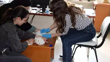 Evcil Hayvanlar İçin Mikroçip Uygulaması