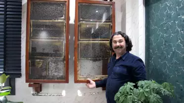 Ofisinde Arı Kovanı Kurdu
