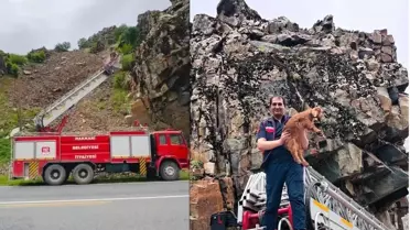 Hakkari'de Mahsur Kalan Keçi Yavrusunu İtfaiye Kurtardı
