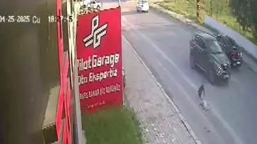 Hatay'da Köpeğe Çarpan Araç Can Aldı