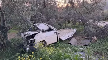 İznik'te Kamyonet Zeytin Tarlasına Daldı