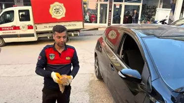 Sungurlu'da Yavru Kedi Motor Kısmından Kurtarıldı