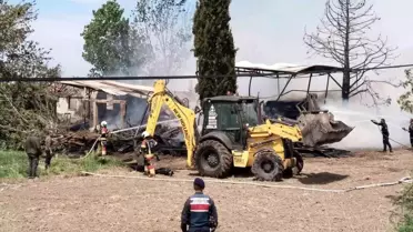 Ayvalık'ta Kereste Deposunda Yangın