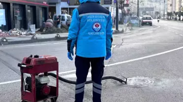 Trabzon'da Vektörle Mücadele Çalışmaları Hız Kesmeden Devam Ediyor