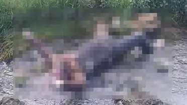 Uyuşturucu Etkisiyle Dereye Düşen Firari Ölü Bulundu