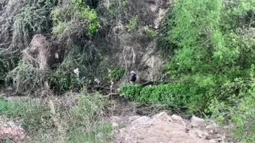 Bilecik'te Kaçan Dilenci Maratona Çıktı