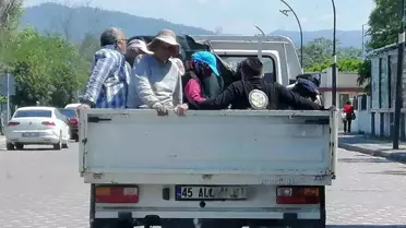 Tarım İşçileri Açık Kasa Kamyonette Tehlikede