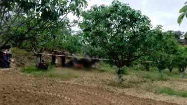 Aydın'da Traktör Kazası: 1 Kişi Hayatını Kaybetti