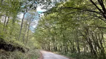 Kırklareli'nde Ormanlara Giriş Yasağı