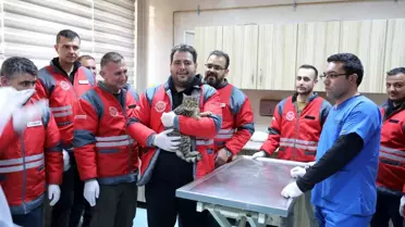 Kocasinan Belediyesi'nden Veteriner Ekiplerine Eğitim Programı