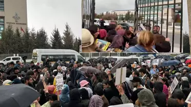 Sokak hayvanları kararı sonrası hayvanseverler AYM'nin kapısına dayandı