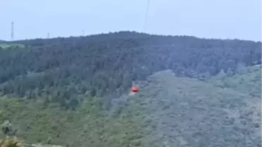 Sultangazi'de Orman Yangını