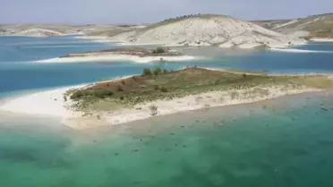 Martı Adası'nda Yuvalama Dönemi