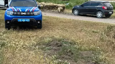 Manyas'ta Ahır Yangını: 35 Hayvan Telef Oldu