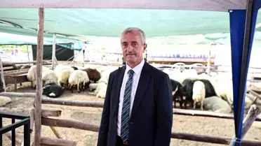 Başkan Tahmazoğlu, Kurban Bayramı'nda Fahiş Fiyat Artışına Müsaade Etmeyecek