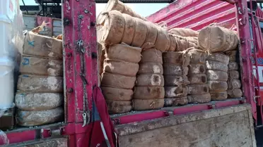 Bornova'da 7 Ton Uygunsuz Peynir İmha Edildi