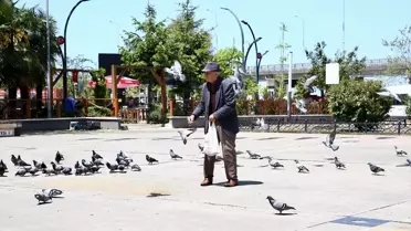 92 Yaşındaki Ali Haydar'ın Güvercin Sevgisi