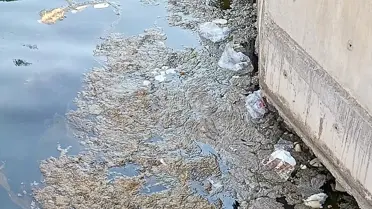Karamürsel'de Denizde Köpüksü Tabakalar