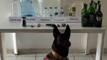 Samsun'da Sahte Alkol Operasyonu