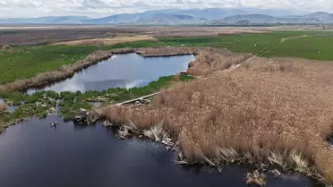 Sultan Sazlığı'nda Yürüyüş Yolu Çalışmaları