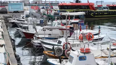 Tekirdağ'da Taze Balık Avı Devam Ediyor