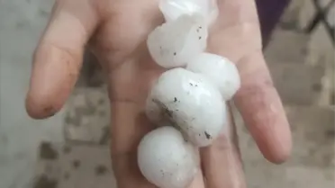 Niksar'da Selde 35 Koyun Telef Oldu