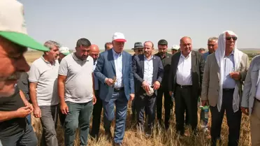 Kuraklık Diyarbakır'da Tarımı Tehdit Ediyor