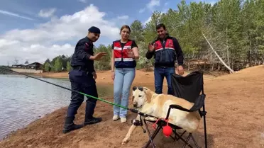 İz Takip Köpeği Dost Emekli Oldu