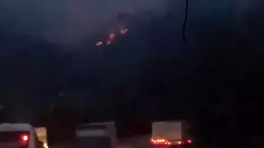 Adana'da Orman Yangınları Kontrol Altına Alındı