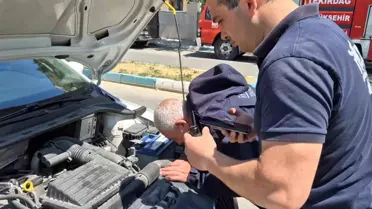 Tekirdağ'da Kedi Kurtarma Operasyonu