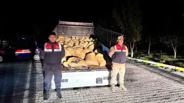 Van'da Kaçak İnci Kefali Operasyonu