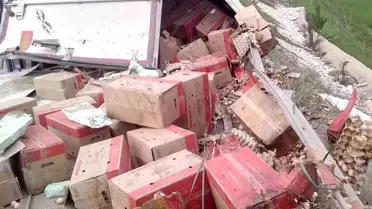 Bolu'da yumurta yüklü tır devrildi: 1 yaralı