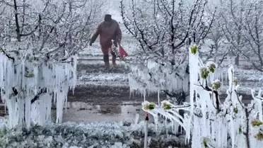 Zirai Don Komisyonu Toplanıyor