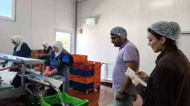 Hüyük'te Su Ürünleri Denetimi