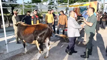 Talas Belediyesi Kurban Bayramı Hazırlıklarını Tamamladı