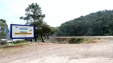 Antalya'da Narenciye Balı İçin Coğrafi İşaret Tescil Çalışması Başlatılıyor
