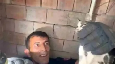 Yavru Kedi Havalandırma Boşluğundan Kurtarıldı