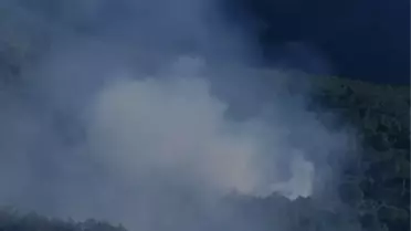 Arsuz'da Orman Yangını Kontrol Altında