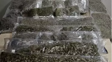İzmir'de 19 Kilo Esrar Ele Geçirildi