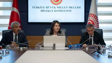 TBMM Dilekçe Komisyonu'na 18 bin 949 başvuru yapıldı
