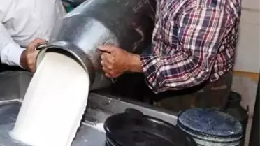 Mart'ta Süt Toplama Miktarı Artış Gösterdi