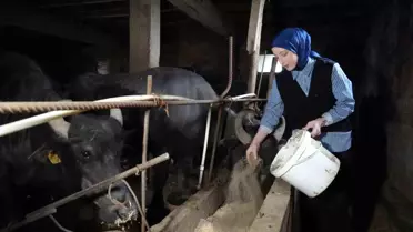 Mart'ta Süt Üretiminde Artış