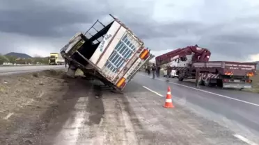 Tır Kazasında 29 Angus Hayvan Kayboldu