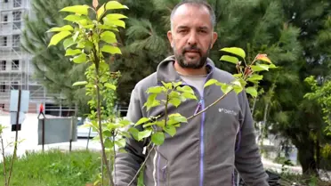Fidancılık Ailesel Miras Oluyor