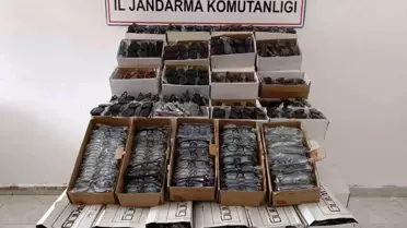 Gazipaşa'da 3 Bin Kaçak Gözlük Ele Geçirildi