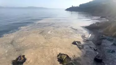 Gemlik Körfezi'nde Müsilaj Krizi: Denize Girilecek Yer Kalmadı